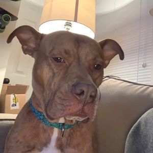 Meet your Posher, Jacob